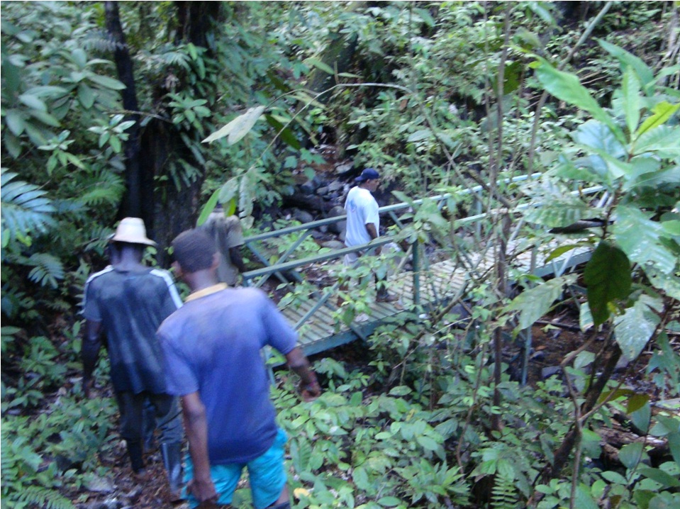puente en madera plástica para cruzar ríos riachuelos caños puentes en maderas plásticas maderplast puente sobre distrito de riego agrícola caño rio riachuelo quebrada lago pantano humedales 00 puente en madera plástica para cruzar ríos riachuelos caños puentes en maderas plásticas maderplast puente sobre distrito de riego agrícola caño rio riachuelo quebrada lago pantano humedales 00